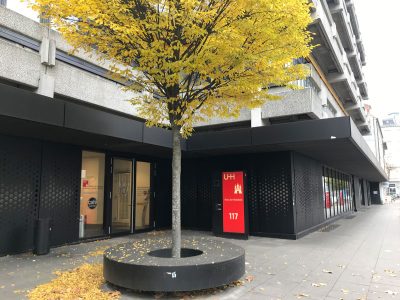Eingang mit roter Stele mit dem logo der Uni Hamburg, Baum vor dem Eingang hat leuchtend oranges Laub.